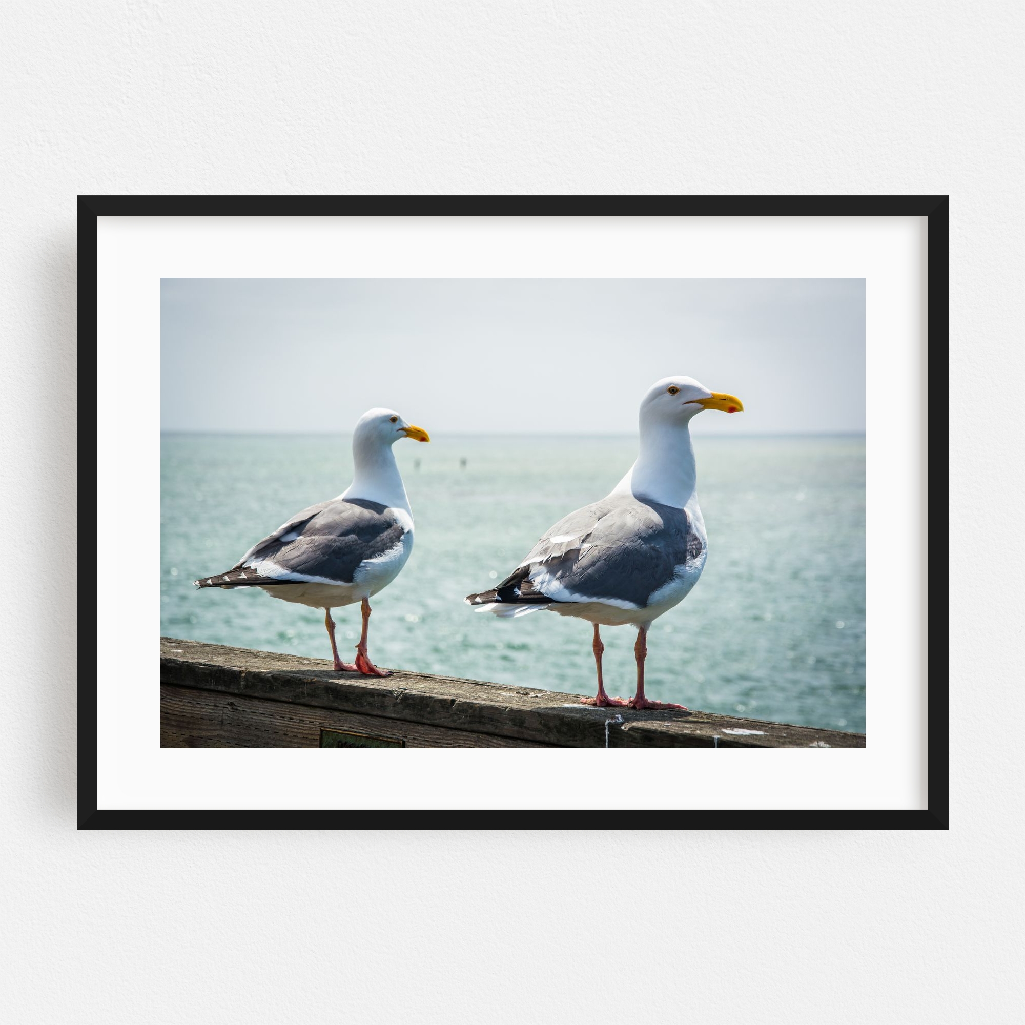 "Friends & Seagulls" Capitola Birds Framed Wall Art Print for wholesale by The Americana Project