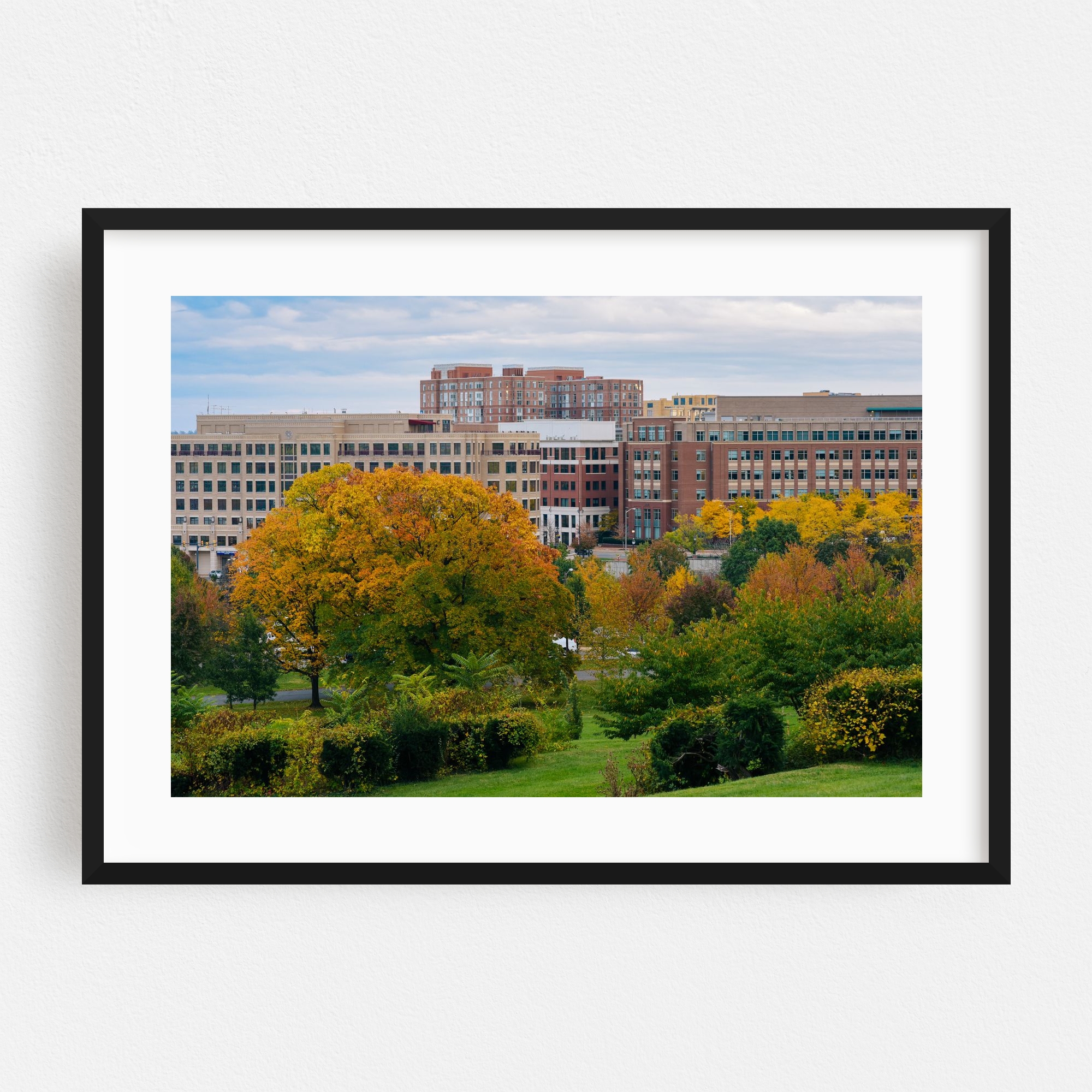 "Fall Alexandria" City Parks Framed Wall Art Print for wholesale by The Americana Project